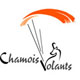 Logo-Chamois-volant