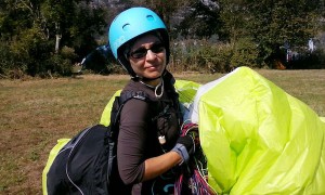 wpac-2016-28-F-Landriot-pilot-test-Delphine